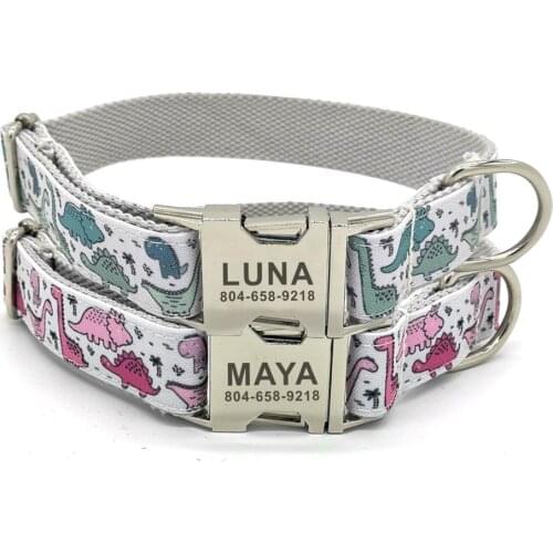 Personalized Dinosaur Pet Collar Custom Puppy Name ID Tag Adjustable Basic Cartoon Dog Collars Free Engraving