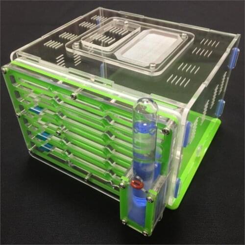 Green color moisture with feeding area ant nest ,ant farm acryl, insect ant nests villa new pet advanced mania for house ants