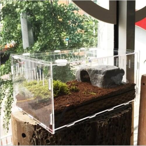 Snail feed snail nutrition soil coconut feeding box acrylic supplies collection