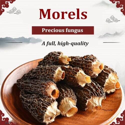 Natural Wild Organic Premium Morchella Dried Morel Mushrooms