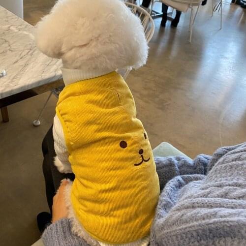 New Warm Pet Dog Clothes Cartoon Bear Winter Dog Cotton Coat Corduroy Hoodie Puppy Chihuahua For Small Medium Dogs Yorkshire