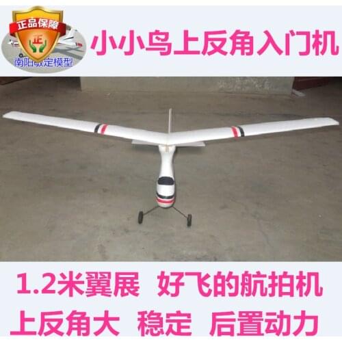 1200mm wingspan Mini Bird RC Glider EPS
