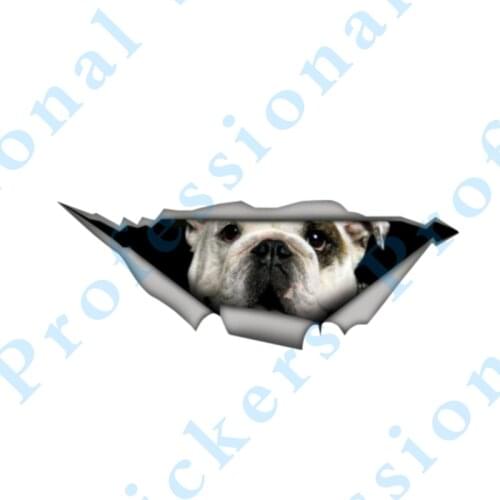 3D Animal 13 x 4.8 Border Collie Sticker Torn Metal Vinyl Decal Lovely Car Stickers Motorcycle Trunk Animal 3D Car Styling