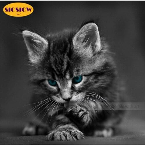 5D DIY Diamond Mosaic Embroidery Cat Black White 3D Diamond Painting Cats Kittens Cross Stitch Full Square 3d Picture Decor Home