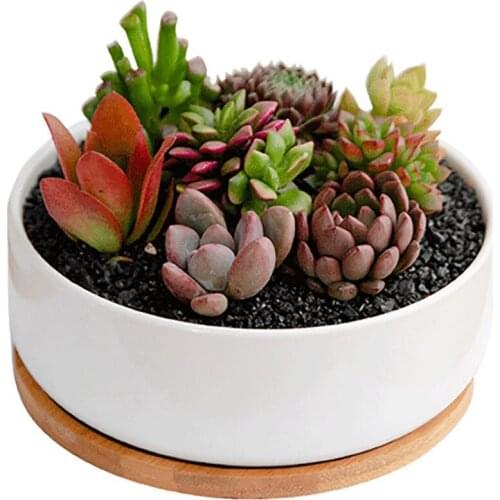 Succulent Planter Ceramic Pot Flower Vase Decor Indoor White Bamboo Container Saucers Rectangular Desk Bonsai Outdoor Flowerpots