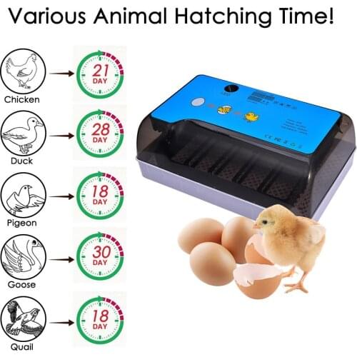 9-35 Eggs Egg Incubator EU/UK/US/AU Fully Automatic Incubator Digital Temperature Poultry Hatcher For Chickens Ducks Goose Birds