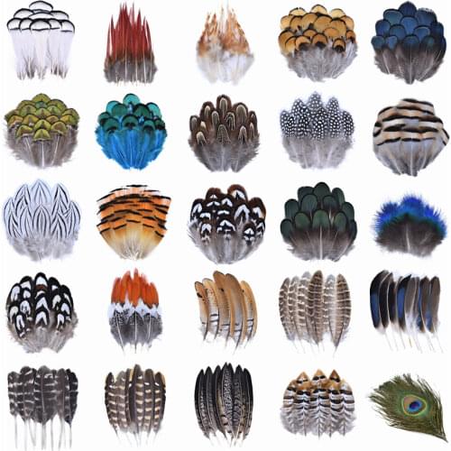 Wholesale Natural Pheasant Feathers Peacock Feather Eagle Small Plume Handicraft Accessories Jewelry Creation Holiday Decoration