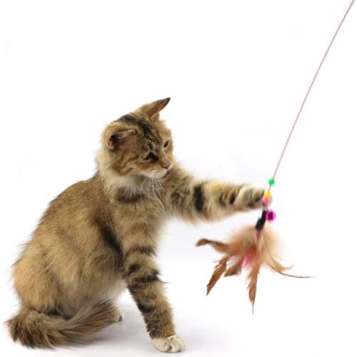 Plastic Metal Wire Feather Cat Catcher Teaser Cat Teaser Wand Toy Sticks Cat Interactive Training Toys Cat Toy Gifts 110cm
