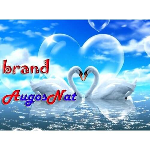 Wedding diamond painting black swans rhinestone embroidery birds mosaic art decor diamond dots poster wall paper diy craft gift