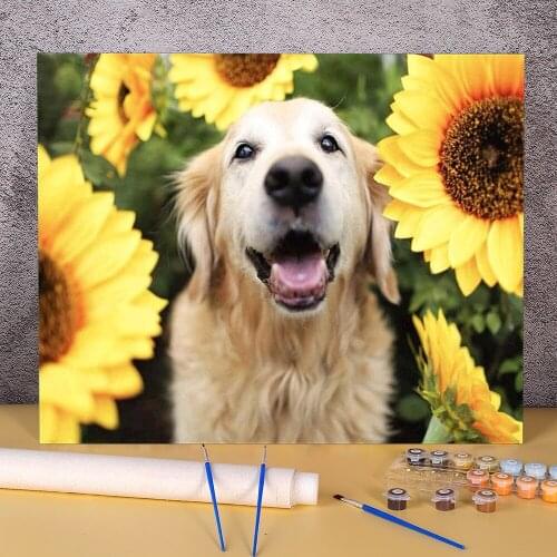 Animal Golden Retriever Paint By Numbers Set Acrylic Paints 50*70 Painting On Canvas Handmade For Handicraft