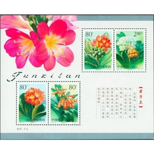 Clivia 2000-24M China souvenir Sheet Post Stamps Postage Collection