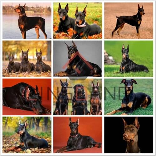 5D DIY Diamond Painting Full Square Round Drill Dog Doberman Fierce Diamond Embroidery Animal Cross Stitch Mosaic Kit Decor Gift