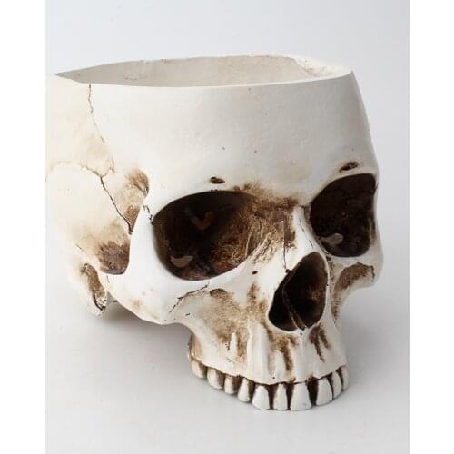 Skull Flower Pot Artware Resin Storage Box For Snack Ashtray Flowerpot Fruit Tray Storage Tank Home Sculpture Statue Decoration