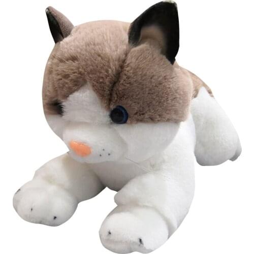 38cm Simulaition Stuffed Animal Cat Kitty Plush Room Decoration Toys For Children