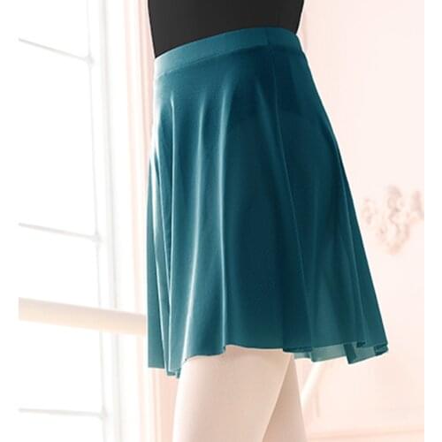 Wholesale Mesh Ballet Skirt Women Girls Adult Ballerina Professional Elastic Dance Dress Gymnastics Training Costumes Miniskirts