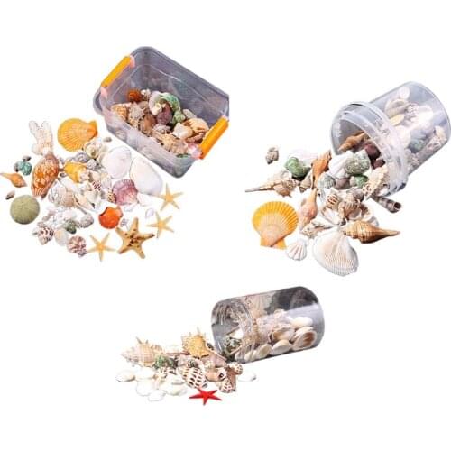 Starfish Seashells Sea Snail Coral in Random Match Fish Tank Ornaments Aquarium Decoration Theme Party Decor DIY Crafts