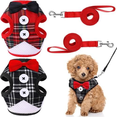 Pet Cats Harness and Leash Set Puppy Cat Harnesses Vest Rabbits Mesh Dress Bow Chest Belt Collar Pet Dogs Harness and Leash Sets