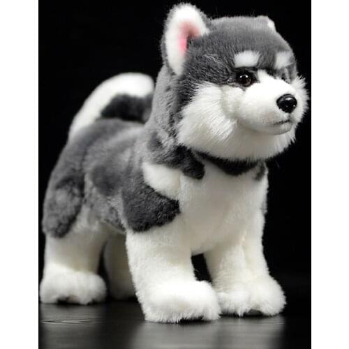 Cute Grey Alaskan Malamute Simulation Dog Doll Soft Real Canis lupus familiaris Stuffed Animal Plush Toy Model For Kids Gift