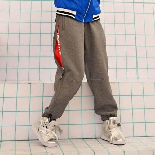 Women Hip Hop Pants Winter Thick Warm Flece Linning Long Pant Elastic Waist Outdoor Sport Loose Female Print Sport Side Zip Pant