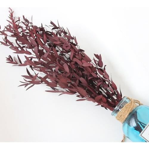60g/lot,Nature Fresh Preserved Eucalyptus Leaves,Eternal Display Dried plant flower arrangement Wedding Party Home Decoration