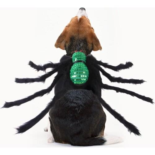 New Sequined Spider Transformation Dog Cat Halloween Costume Pet Clothes Dog Halloween Outfits Funny Dog Costume