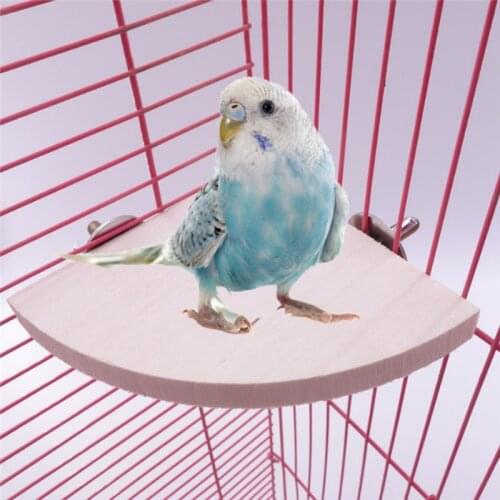 New Pet Bird Parrot Wooden Platform Bracket Rack Toy Hamster Fan Branch Perched For Bird Cage Toy Pet Supplies