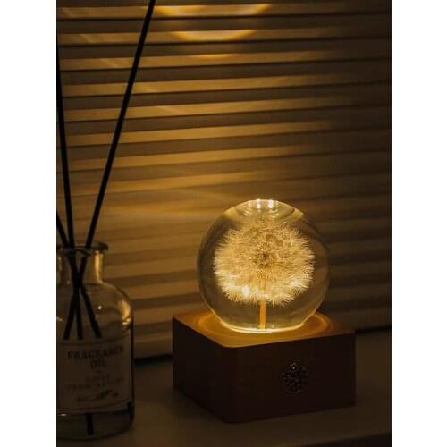 Dandelion Specimen Crystal Ball Resin Wood Base Night Light Creative Gift Home Decor