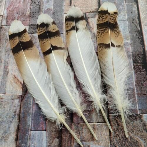 Wholesale 50pcs Beautiful 18-25cm/7-10inches Natural Pheasant Feathers For DIY Jewelry Craft Making Decoration