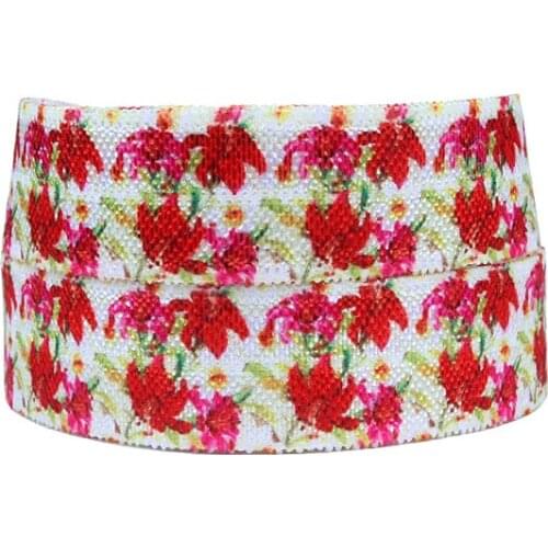 Floral foe, factory supply soft nylon elastic ribbon in flower patterns