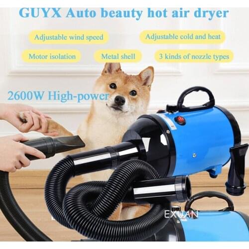 Car cleaning beauty hair dryer/water blowing machine/engine compartment washing and drying machine/high power/quick drying