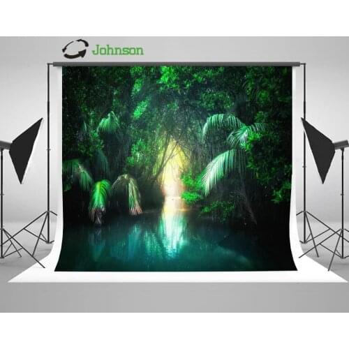 Fantasy Jungle Landscape Lake Rain Forest Path Way Background polyester or Vinyl cloth Computer print wall backdrops