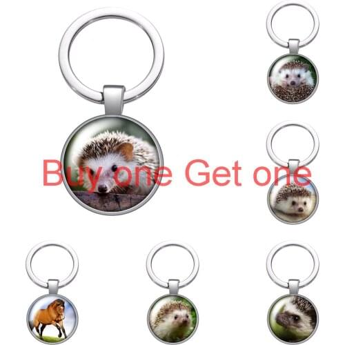 Love Animals Horse Hedgehog Pig Glass Cabochon Keychain Bag Car Key Chain Ring Holder Silver Color Keychains Men Women Gifts
