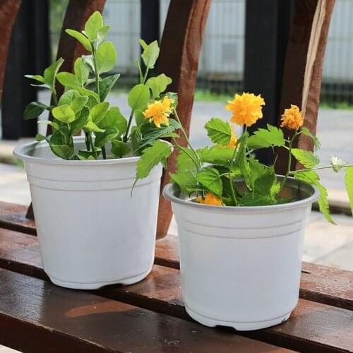 20pcs/50pcs Plastic Grow Box Fall Resistant Tray For Home Garden Plant Pot Nursery Transplant Flower Pots