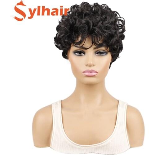 Sylhair Ombre Afro Curly Wave Synthetic Hair Wig 100% Kanekalon Heat Resistant Fiber Natural Black Daily&Party Wig