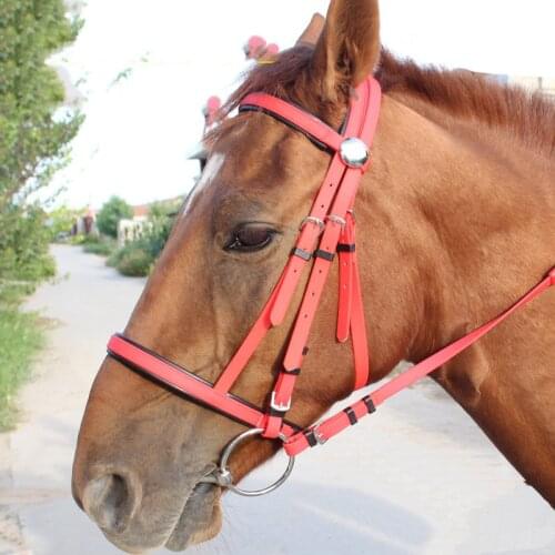 PVC Horse Reins For Large Horse Stainless Steel Hollow Mouth Bit Horse Riding Halter Racing Equestrian Equipment