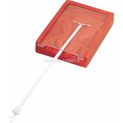 IUD Insertion Trainer Intrauterine Device Contraceptive Medical Teaching Uterus Anatomical Model