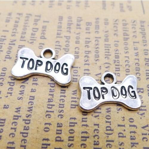 RAINXTAR Fashion Alloy Top Dog Charms Dog Bone Shape Jewelry DIY Charms 11*16mm 100pcs AAC940