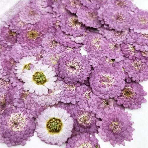 100 Pcs Natural Pressed Flowers Real Dried Chrysanthemum DIY Art Craft Valentines Gift Bookmark Decoration Scented Candle Decor