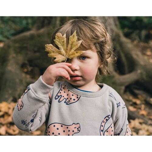 Kids Clothing Sets Autumn Winter Baby Boys Cartoon Casual Sweatshirt Suits Fashion Cat Print Pullovers Pants Sport 2 Pcs for Boy