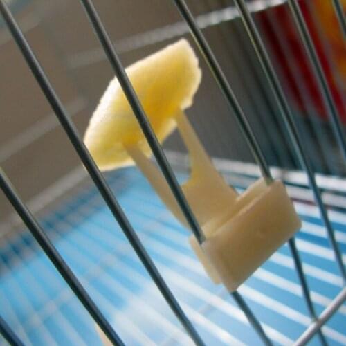 1Pcs Fruit Fork Bird Feeder Parrot Pet Bird Plastic Food Holder Feeding on Cage for Hamster Rat 2 Size S/L Convenient Feeder