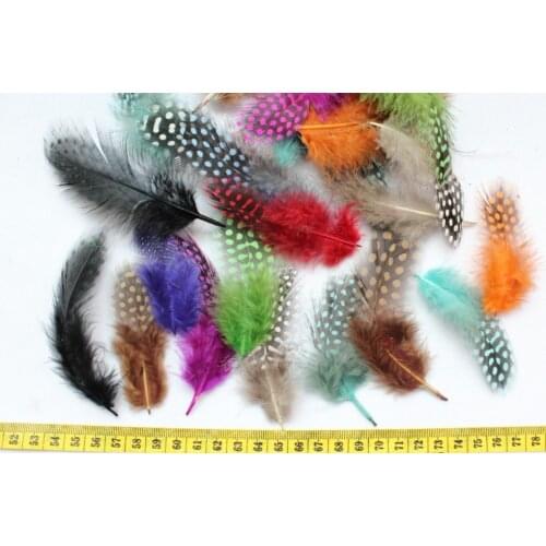 400pcs Multi Colors 2-5" selected Colorful selected Guinea feathers Set wholeslae free shipping
