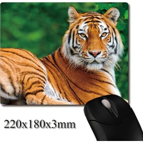 Beautiful Siberian tiger printed Heavy weaving anti-slip rubber pad office mouse pad Coaster Party favor gifts 220x180x3mm