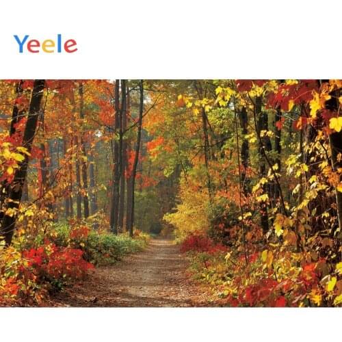 Autumn Forest Tree Leaves Newborn Baby Portrait Backdrop Vinyl Photography Background For Photo Studio Photophone Photozone Prop