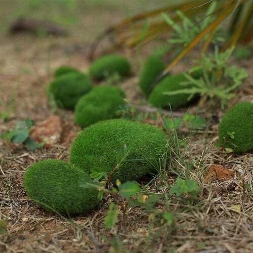 5PCS Foam Moss Ball Aquarium Moss Ball Ornament Plant Tank Cladophora Decoration Marimo Decor Green Fish