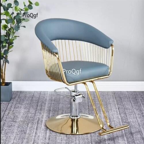 Prodgf 1 Set europe hot ins Salon Chair