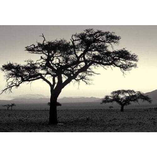 Canvas prints beautiful oil painting Africa landscape with tree from art photos of Protection of the environment free shipping