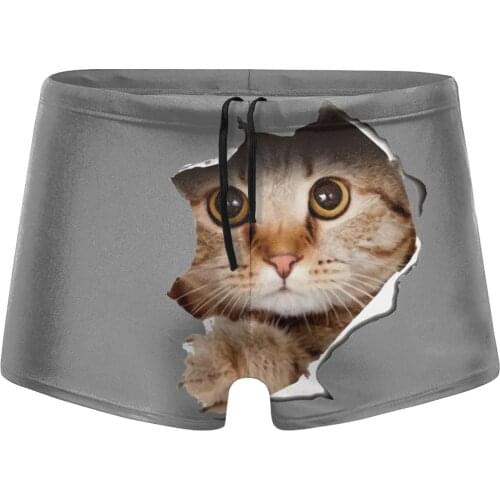 Men cat Printing beach swimming trunks Scotland Fold Swimsuit husband for the sea Pool