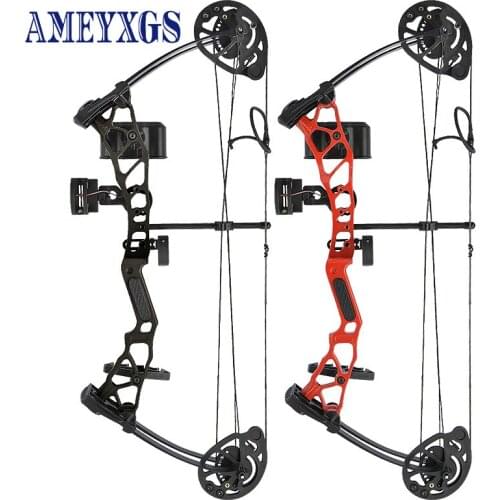 1set Archery Children Compound Bow 16-28lbs Adjustable Let-off 65% Handle Aluminum-Magnesium Alloy Shooting Hunting Accessories