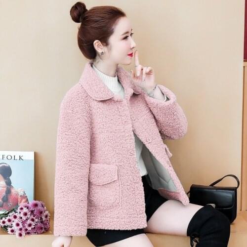 Elegant Women Faux Fur Coat 2020 Autumn Winter Soft Warm Lapel Button Pink Jacket Female Plush Pocket Casual Short Teddy Outwear