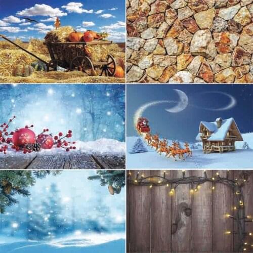 Vinyl Custom Photography Backdrops Prop festival Theme Photography Background #0049